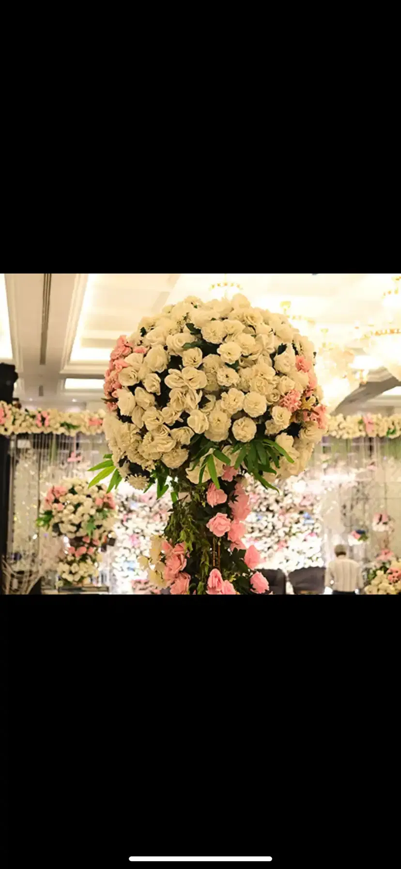 indoor banquet lighting 5 by The Qube Palace